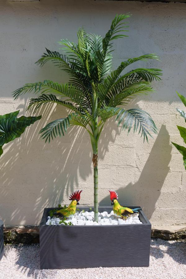 L'Escale Tropicale, Appartement Independant Avec Terrasse Privative 圣康坦 外观 照片